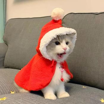 貓咪圣誕頭套可愛頭飾喜慶小狗狗帽子圍巾寵物口水巾搞怪節日裝扮