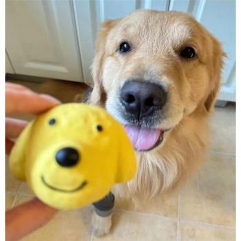 日本DOG DEPT寵物乳膠發聲球狗玩具球球黃金獵犬金毛犬DOG TOY