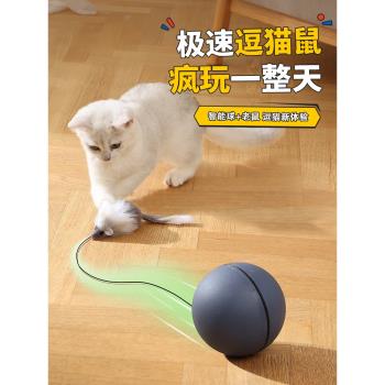 貓玩具自嗨解悶消耗體力老鼠逗貓棒貓運動電動自動逗貓球貓咪用品
