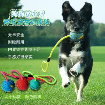 寵物用品磨牙玩具球狗耐咬球寵物玩具空心彈力球帶鈴鐺訓練狗