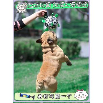 狗狗玩具球自嗨益智解悶神器互動球球訓練小型犬法斗寵物足球耐咬