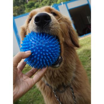 狗玩具發聲彈力球狗狗磨牙潔齒耐咬球金毛泰迪拉布拉多寵物用品