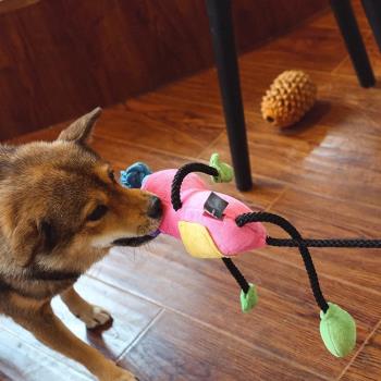 Qmonster狗玩具解悶神器寵物發聲玩具中大型犬互動朋克面具家族