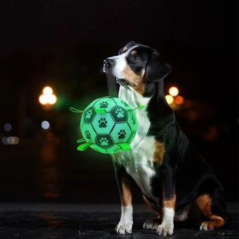 夜光足球互動拉扯益智狗訓練玩具鈴鐺足球大小型犬訓練遛狗足球