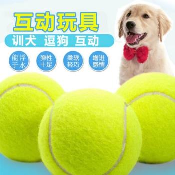 狗狗玩具彈力球幼犬磨牙耐咬泰迪博美小狗訓練球金毛網球寵物用品