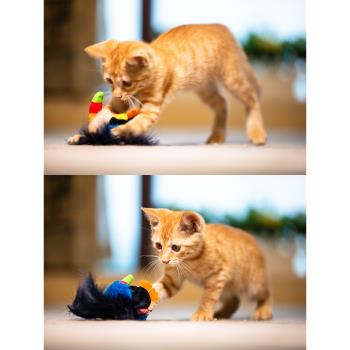 GiGwi貴為貓咪解悶自嗨小鳥老鼠仿真模擬發聲寵物逗貓啃咬貓玩具