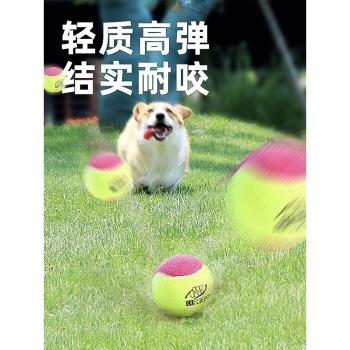 狗狗自動發球機發球器自嗨寵物邊牧金毛柯基耐咬磨牙網球狗狗玩具