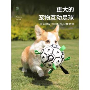 狗狗玩具耐咬球寵物磨牙足球幼成犬柯基邊牧訓練專用自嗨解悶神器