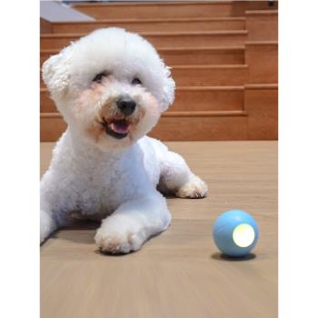 七布寵物狗玩具球自嗨解悶電動陪伴小型犬智能逗狗自己玩狗狗玩具