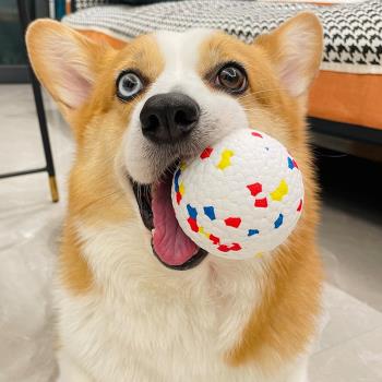 狗狗玩具爆爆球磨牙耐咬柯基金毛中大型犬互動自嗨解悶訓練寵物球