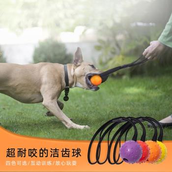 帶繩彈力球狗狗訓練耐咬橡膠球小型中型大型犬馬犬邊牧磨牙玩具球