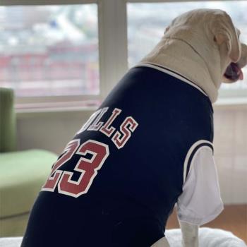大型犬拉布拉多防掉毛狗狗衣服