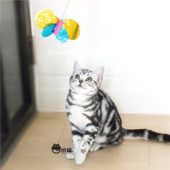 日本凱迪曼CattyMan調皮昆蟲逗貓棒 可掛門多功能逗貓桿互動玩具