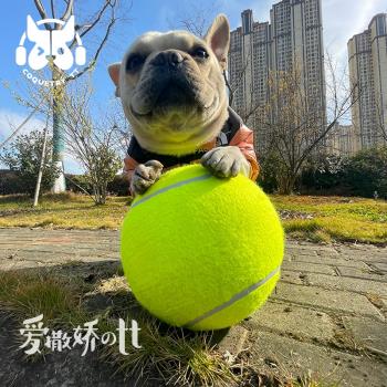TT 狗狗玩具球十倍快樂球超大網球24cm柴犬柯基法鬥逗狗解悶寵物