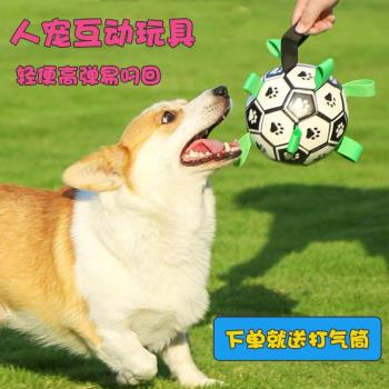 狗玩具足球網紅款狗狗足球彈力球互動訓練巡回球解悶神器柯基邊牧