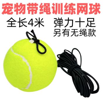 網球帶繩中大型互動拉布拉多狗狗
