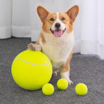 寵物狗狗玩具球十倍快樂球解悶神器互動大網球充氣柴犬小中大型犬