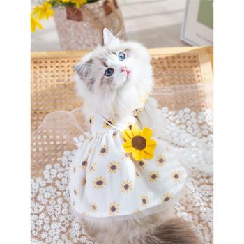 立體花朵挎包連衣裙寵物小貓咪衣服防掉毛布偶貓藍貓幼貓夏天薄款