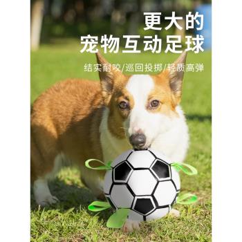 狗狗玩具球自嗨解悶邊牧金毛柯基專用訓練球耐咬磨牙足球寵物用品