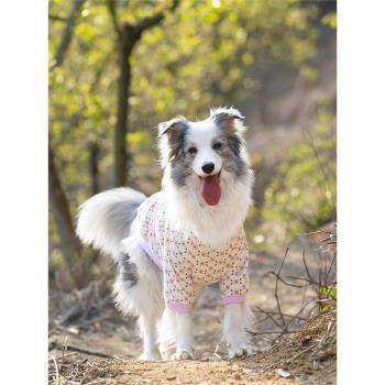 秋季薄款透氣大狗狗中大型犬套頭衣服防掉毛防曬短袖全棉夏季寵物
