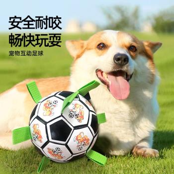 狗狗球玩具柯基狗足球金毛訓練專用球狗互動解悶玩具寵物用品
