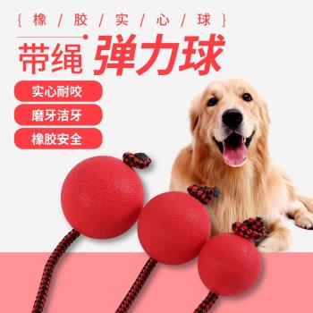 寵物狗狗玩具球耐幼犬咬磨牙逗狗彈力球小紅球橡膠實心穿繩訓練球