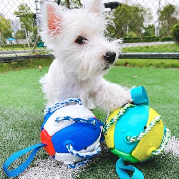 狗狗玩具球寵物用品足球邊牧飛盤泰迪磨牙逗狗狗神器小狗耐咬金毛