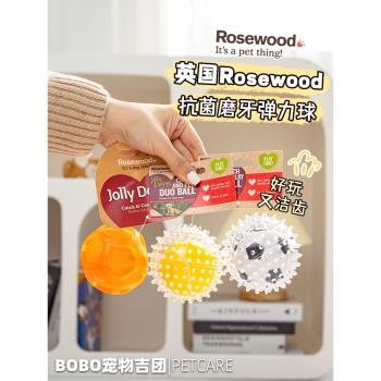 英國Rosewood寵物狗狗彈力玩具球清潔口腔幼犬磨牙互動耐咬球玩具