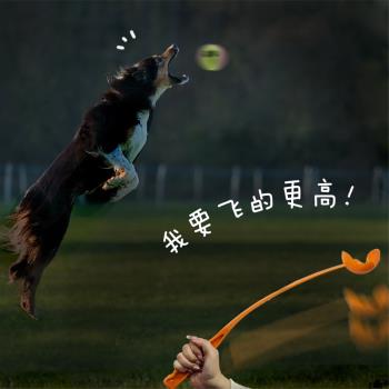 laroo萊諾狗狗玩具球拋球桿扔球器寵物戶外訓練撿球互動巡回玩具