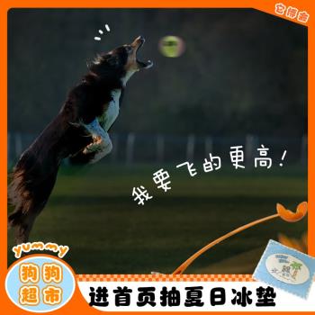 laroo萊諾狗狗玩具球拋球桿扔球器寵物戶外訓練撿球互動巡迴玩具