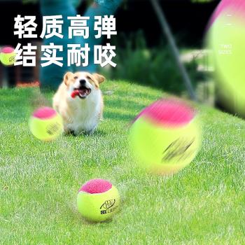 寵物玩具網球小狗幼犬狗狗玩具耐咬磨牙解悶小型大型犬泰迪玩耍用