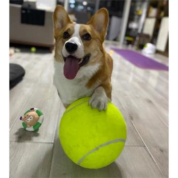 寵物狗狗玩具球24cm超大網球加倍快樂柯基法斗柴犬彈力球解悶神器