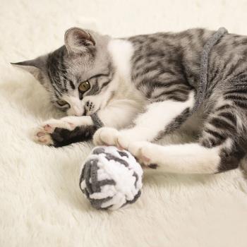貓咪玩具自嗨鈴鐺逗貓棒幼貓磨牙啃咬解悶逗貓神器貓貓用品毛線球