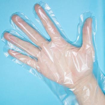 一次性手套加厚 透明塑料餐飲手膜pe薄膜吃龍蝦手套