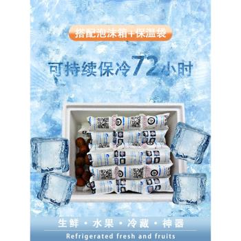 自吸水冰袋重復使用快遞專用冷凍反復持久大號免注水食品級可家用