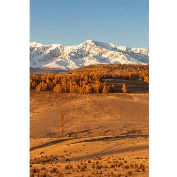 藏族拍照寫真內蒙古風景攝影背景神明少女室內寫真秋天室外寫真