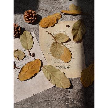 歐式復古風干樹葉 美食攝影裝飾 咖啡店創意背景擺件拍照攝影道具
