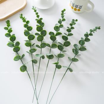 ins風模擬單支尤加利金錢葉子綠植假花插花裝飾 拍照道具攝影背景