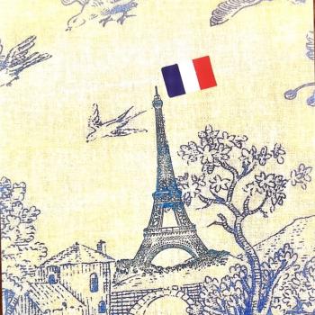 「SHUNA」和巴黎談一場戀愛2法國原版藝術插畫風景治愈明信片現貨