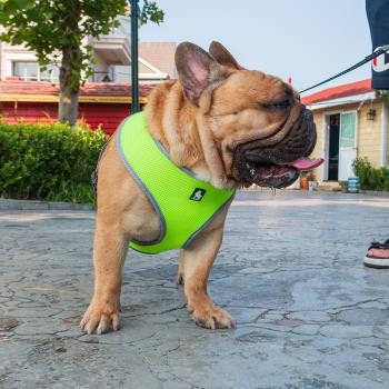 狗胸背帶小型犬法斗泰迪柯基狗狗寵物胸背夏季用品透氣背心新款