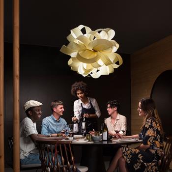 日式木藝吊燈創意個性北歐客廳臥室餐廳餐桌燈田園風吧臺木皮燈具