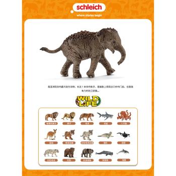 思樂schleich亞洲小象14755兒童野生動物仿真模型大象玩具
