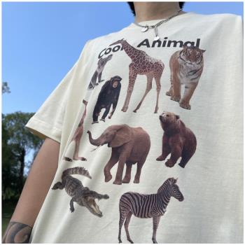 瘋狂動物園斑馬猩猩印花短袖T恤