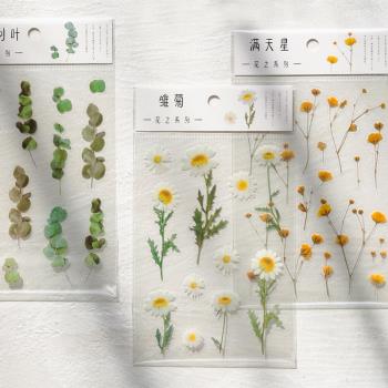 透明PET貼紙防水保溫杯小清新花朵植物雛菊花朵手帳素材裝飾貼畫