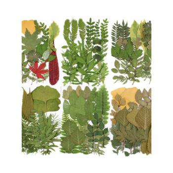 水晶滴膠杯墊乾花包DIY材料押花植物書簽標本手機殼製作樹脂樹葉