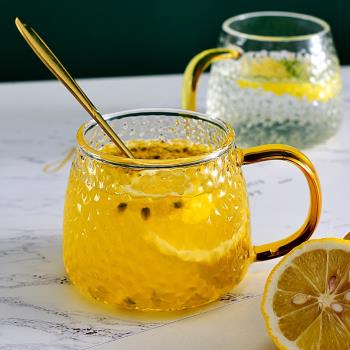 家用耐熱玻璃水壺水具套裝大容量花茶壺耐高溫檸檬扎壺錘紋水杯子