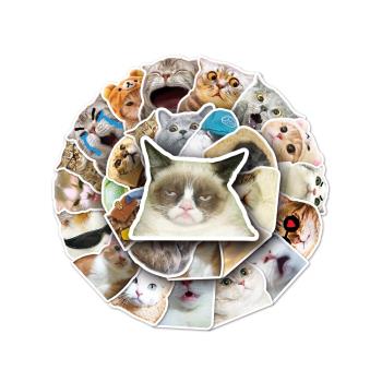 50張可愛動物貓咪表情包diy筆記本水杯手賬本貼紙文具禮品防水