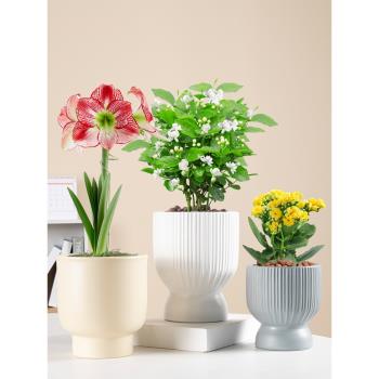 花盆陶瓷北歐簡約陶瓷盆家用發財樹鬱金香蝴蝶蘭專用個性綠植花盆