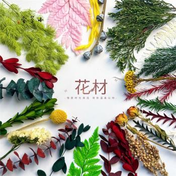 永生葉子幹樹葉黃楊葉尤加利葉羊齒葉混合葉diy手工標本相框材料