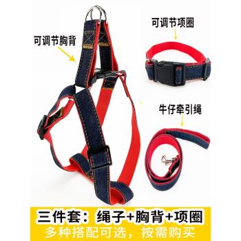 泰迪比熊中小型犬外出狗狗牽引繩